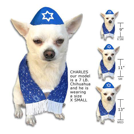 a white chihuahua in a blue kippah with a matching tallit. black text to his right reads charles our model is a 7 lb chihuahua and he is wearing a size x small. next to the text is 3 more of the same photo of charles scaled down