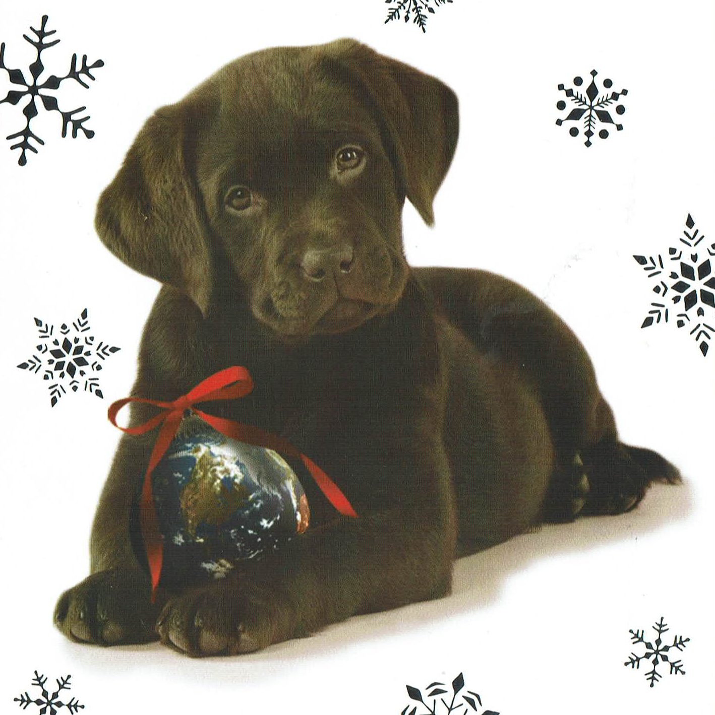 a labador puppy holding an ornament of the earth with a red bow on it. there are snowflakes around him